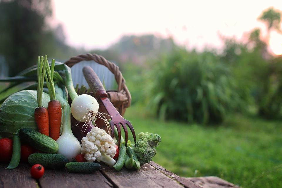 garden seminar.jpg